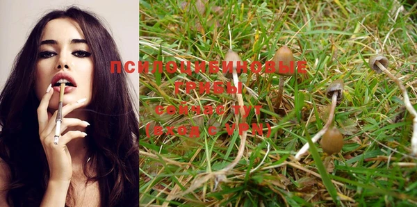 спайс Козловка