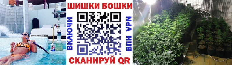 Купить  Оренбург  Конопля сатива 